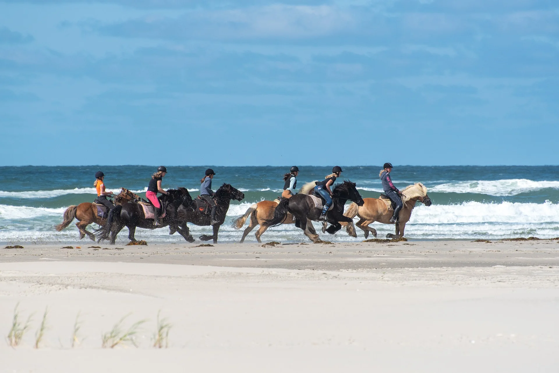 Dagje Waddeneiland