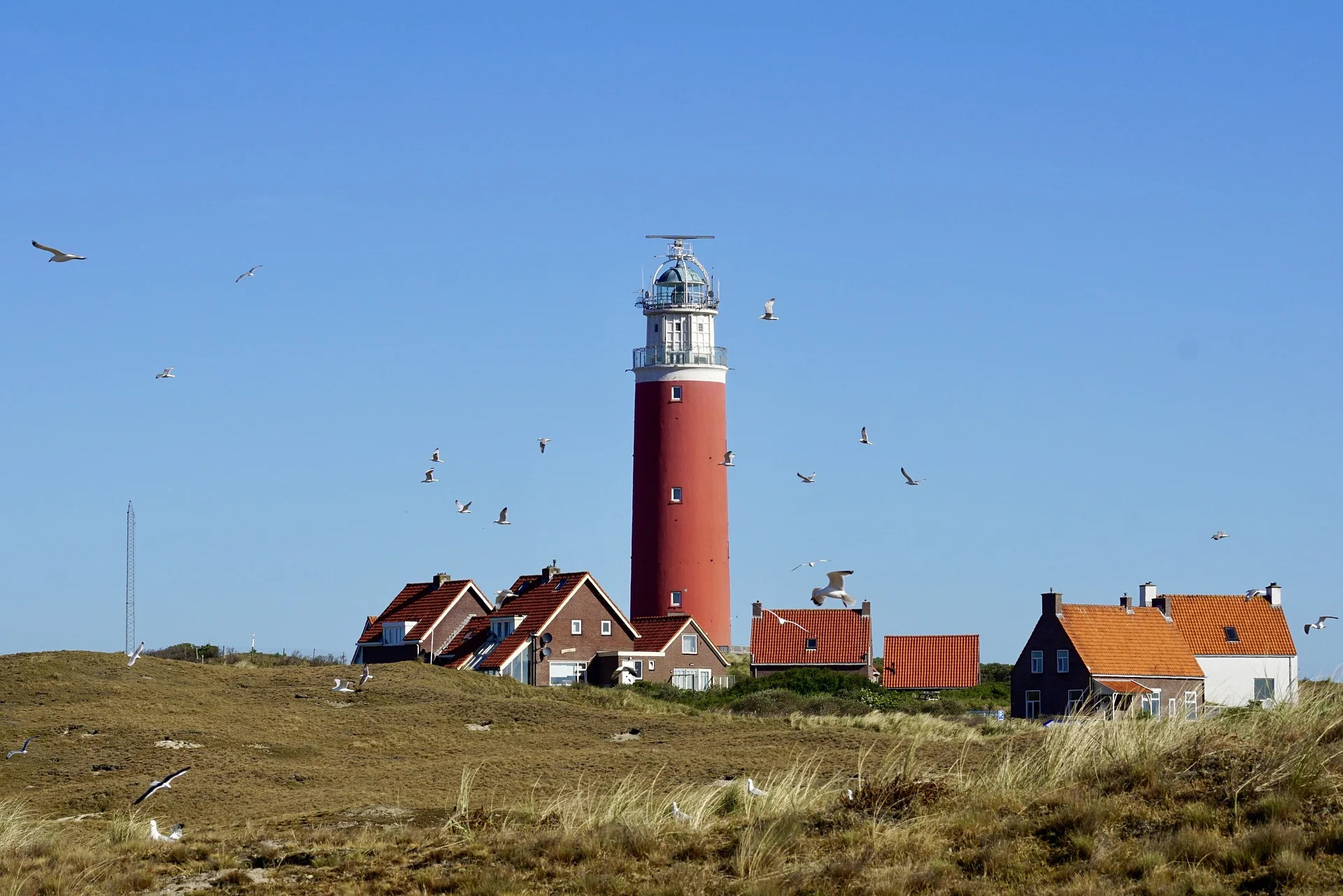 Dagje Waddeneiland